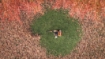 PictureAltAttribute - BRA-600-4-STIHL-BA070115910-jpg